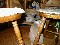 P2140500.JPG 640x480 60,604 Bytes