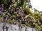 P4130612.JPG 640x480 62,945 Bytes